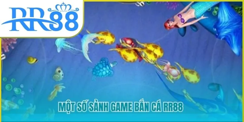 ban-ca-rr88-01