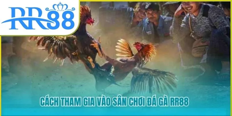 da-ga-rr88