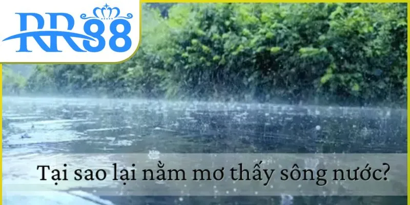 nam-mo-thay-nuoc-danh-gi-01